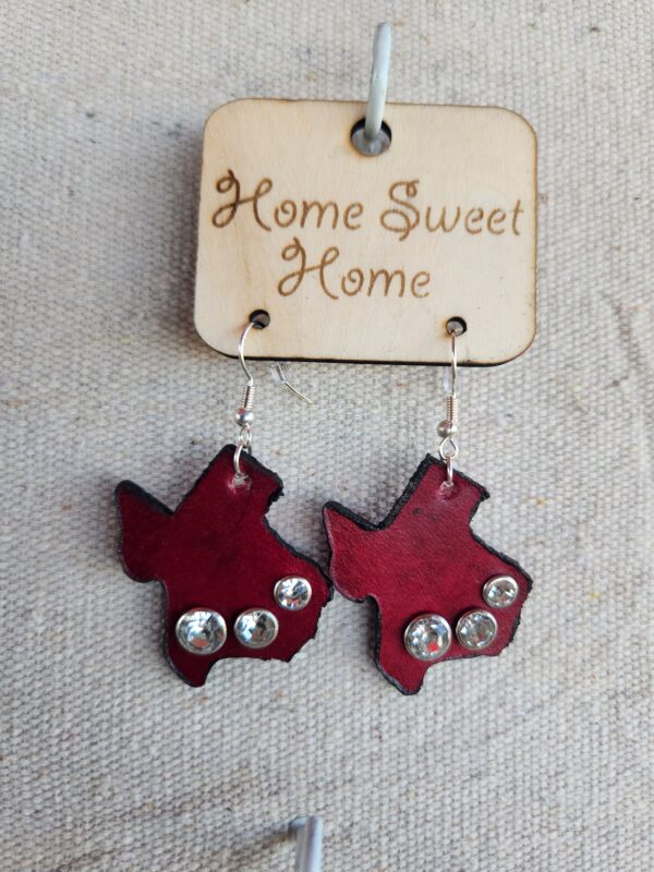 Leather Texas earrings